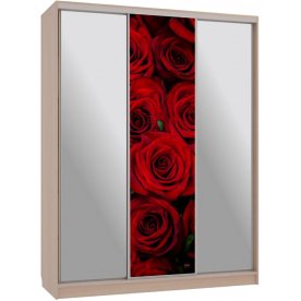 Шкаф-купе Бассо 9-600 89