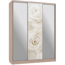 Шкаф-купе Бассо 9-600