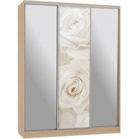 Шкаф-купе Бассо 9-600