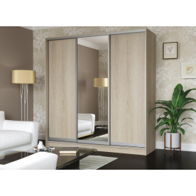 Шкаф-купе Дуэт-3