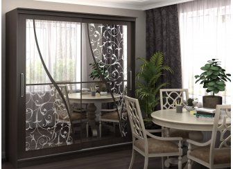 Шкаф-купе Джеленетт 1,5 м