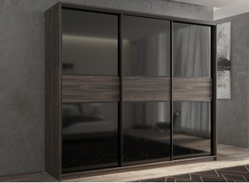 Шкаф-купе Кааппи 12