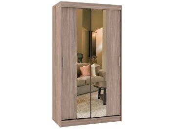 Шкаф-купе Риф 2 ШК.020.900-23 вариант 4