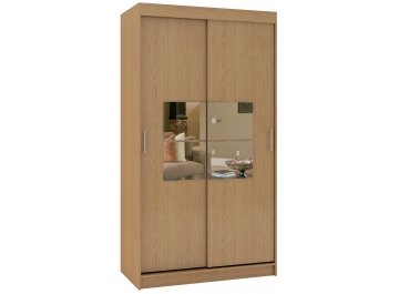 Шкаф-купе Риф 2 ШК.022.1000-24 вариант 5