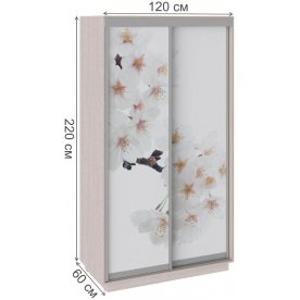 Шкаф-купе Румер 120х60х220