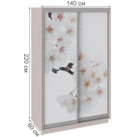 Шкаф-купе Румер 140х60х220