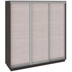 Шкаф-купе Румер 210х60х220