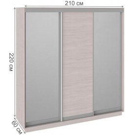 Шкаф-купе Румер 210х60х220