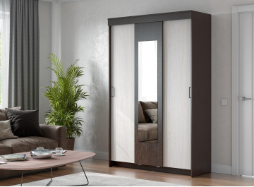 Шкаф-купе ШКП 2