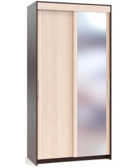 Шкаф-купе ШР-124.2