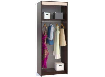 Шкаф-купе ШР-96.1