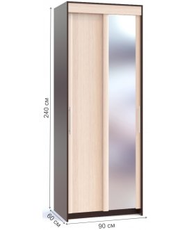 Шкаф-купе ШР-96.2