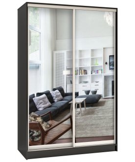 Шкаф-купе Стандарт 2 ШК.004.1200-09