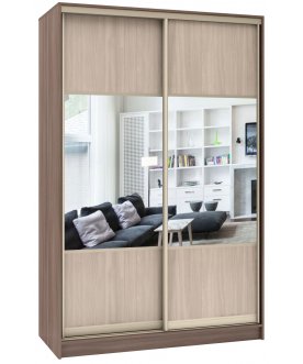 Шкаф-купе Стандарт Комбо 2.1 ШК.006.1200-19