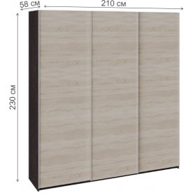 Шкаф-купе Траст 210х58х230