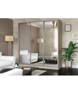 Шкаф-купе Зеркало-3