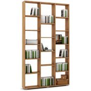 дуб золотистый