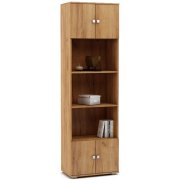 дуб золотистый