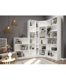 Стеллаж Вилли СБ-800