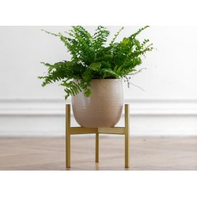 Цветочница Агния 10