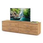 дуб золотистый