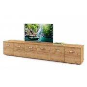 дуб золотистый