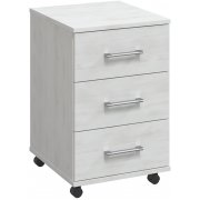 северное дерево светлое