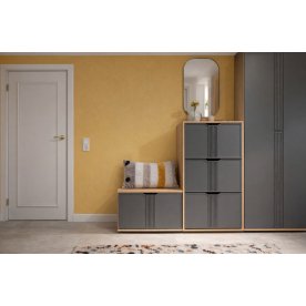 Обувница Эмилия ЭЛ-43