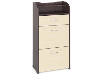 Обувница ТОФ-6