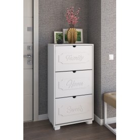 Обувница ДримСтар ДС-23