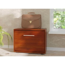 Обувница ТП-1