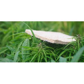 Матрас Indica