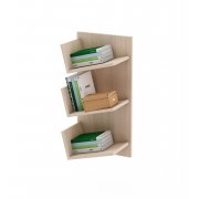 дуб молочный