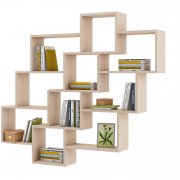 дуб молочный