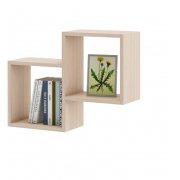 дуб молочный