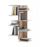 дуб молочный