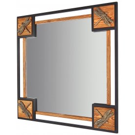 Зеркало Стрекозы V20042