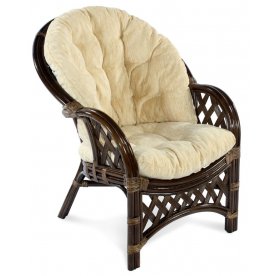 Комплект для отдыха Рузвельт 3+1 браун 