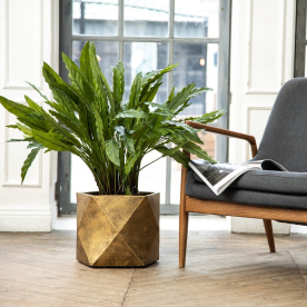 Кашпо Геометри Ромб DSQUARE38-GLD