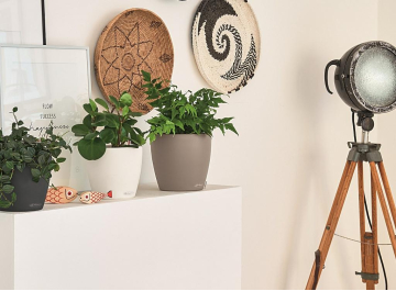 Кашпо Классико Колор 18 13264