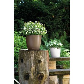 Кашпо Lechuza 13203 CLASSICO Color 28
