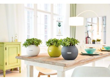 Кашпо Lechuza 13360 LECHUZA-PURO Color 20