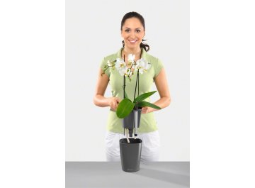 Кашпо Lechuza 14900 DELTINI