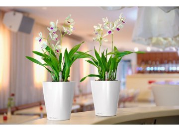 Кашпо Lechuza 14900 DELTINI