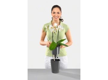 Кашпо Lechuza 14903 DELTINI