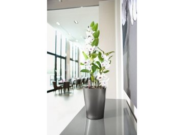 Кашпо Lechuza 14904 DELTINI