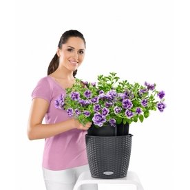 Кашпо Lechuza 15190 NIDO Cottage