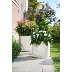 Кашпо Lechuza 15375 CUBE Cottage 30