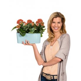 Кашпо Lechuza 15460 DELTA 10