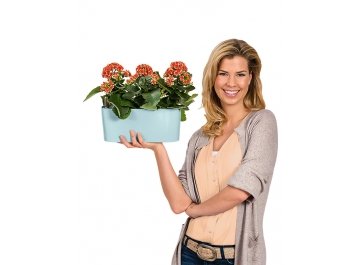 Кашпо Lechuza 15466 DELTA 10